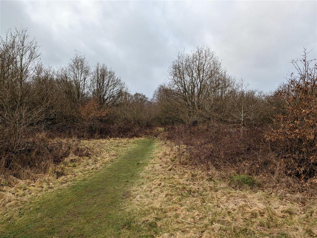 Land off, Rowley Lane, BARNET, Hertfordshire, EN5 3HX