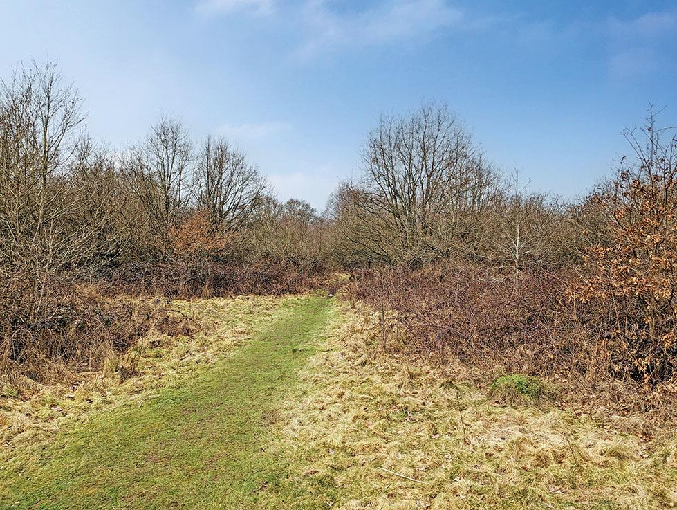 Land off, Rowley Lane, BARNET, Hertfordshire, EN5 3HX