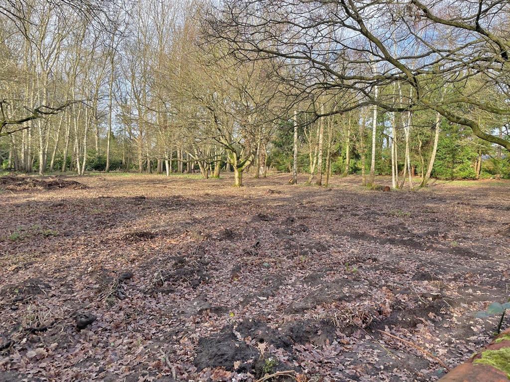 Land on the West side of , Alms Heath, Ockham, WOKING, Surrey, GU23 6NZ