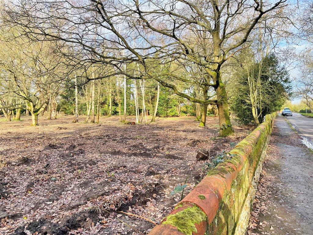 Land on the West side of , Alms Heath, Ockham, WOKING, Surrey, GU23 6NZ