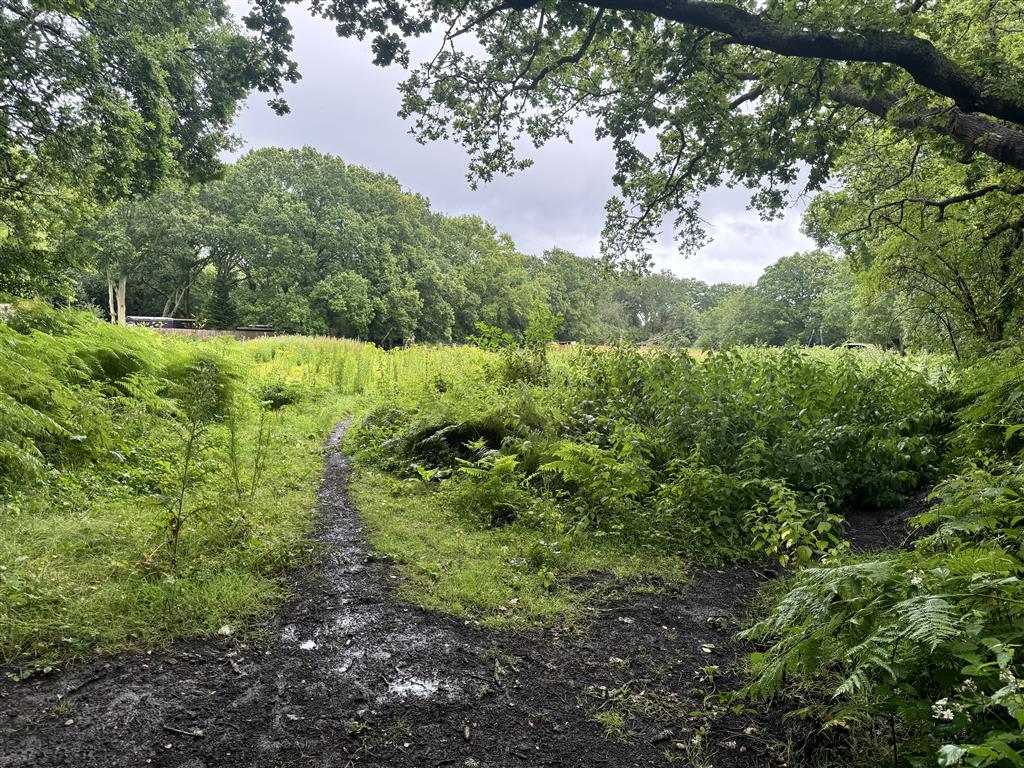 Land off, Priest Lane, WOKING, Surrey, GU24 9NE