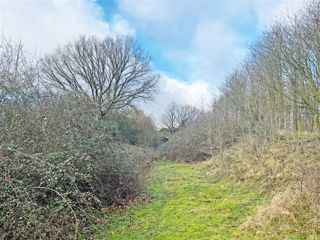 Land to the north and south of, Fundenhall Road, NORWICH, Norfolk, NR15 1SG