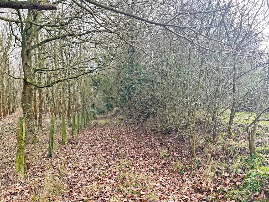 Land to the north and south of, Fundenhall Road, NORWICH, Norfolk, NR15 1SG