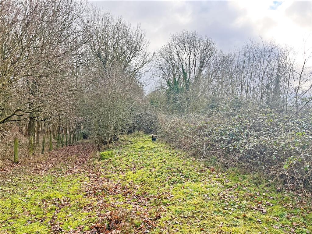 Land to the north and south of, Fundenhall Road, NORWICH, Norfolk, NR15 1SG