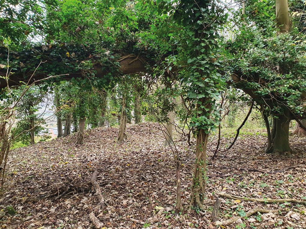 Land at , Springfield Road, CHESHAM, Buckinghamshire, HP5 1PW