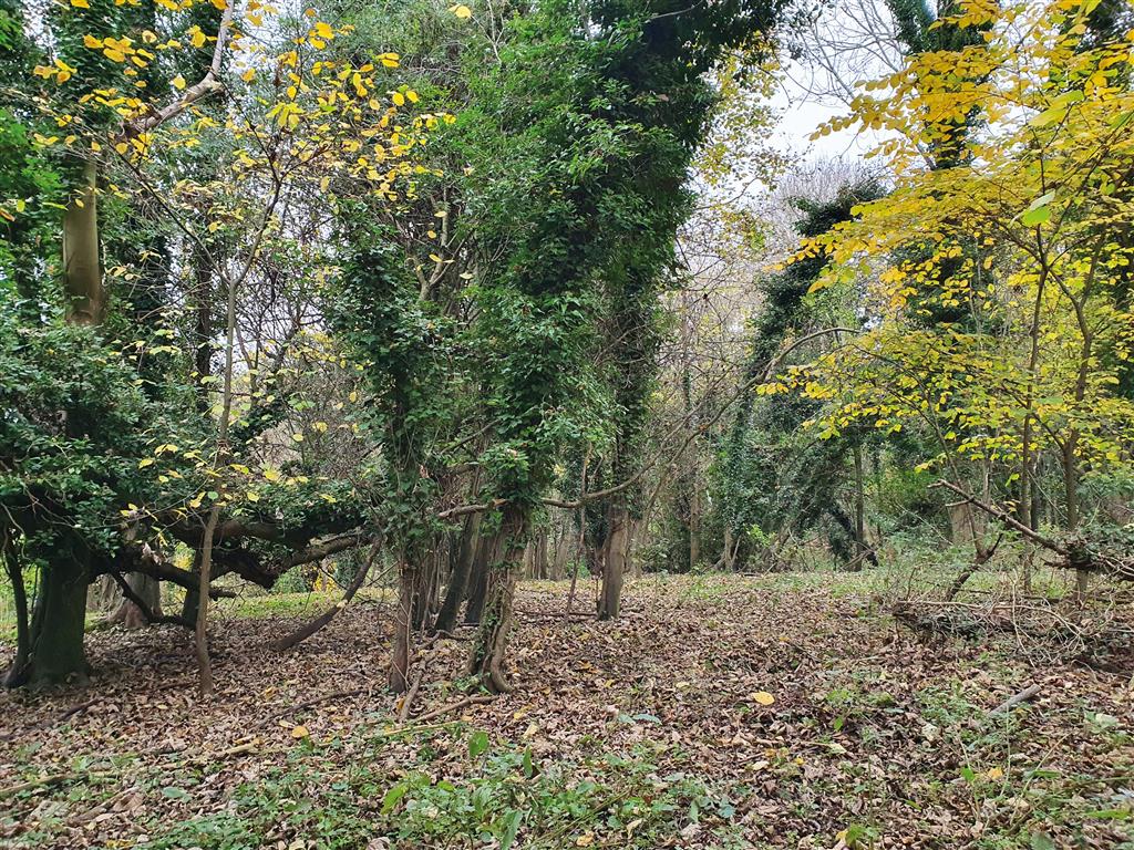 Land at , Springfield Road, CHESHAM, Buckinghamshire, HP5 1PW