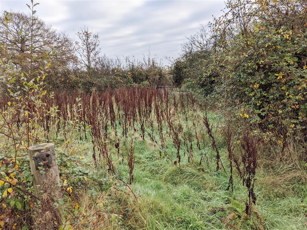 Land off, Blind Lane, PETWORTH, West Sussex, GU28 9EQ