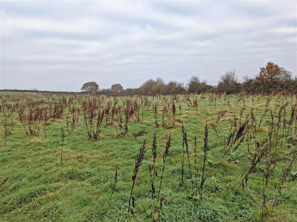 Land off, Blind Lane, PETWORTH, West Sussex, GU28 9EQ