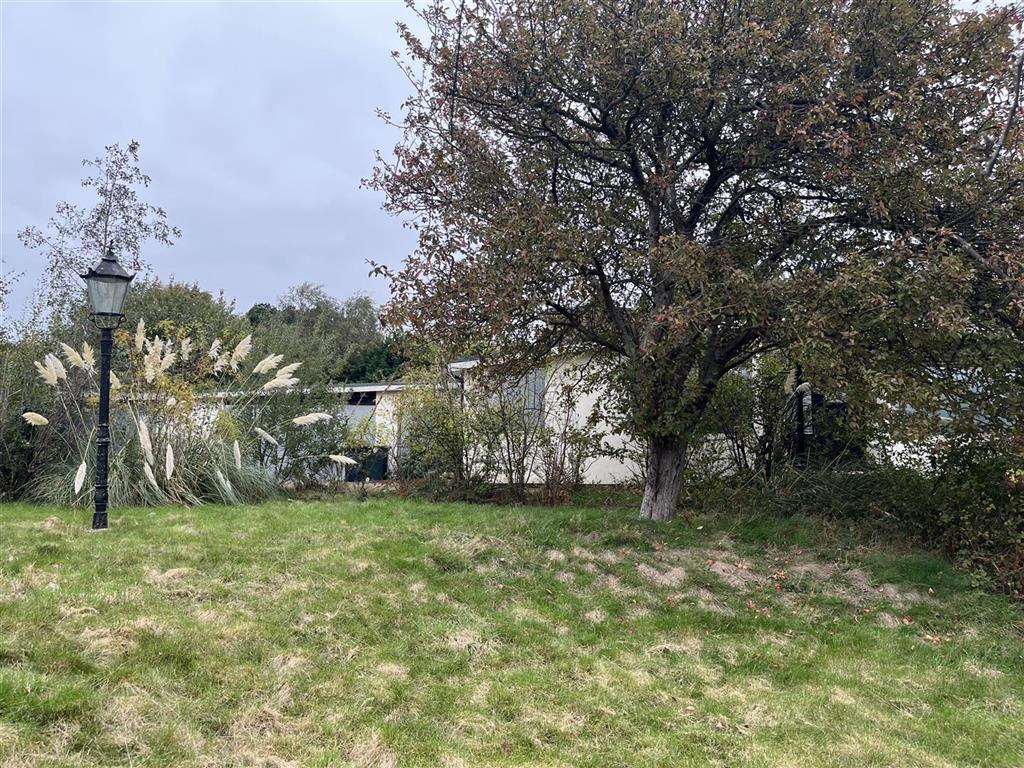 Freehold Detached Bungalow