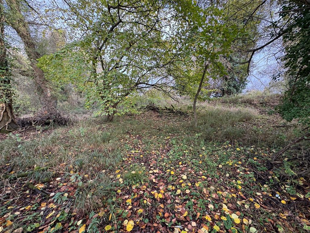 North Island, Burghfield Mill, Mill Road, READING, Berkshire, RG30 3SU