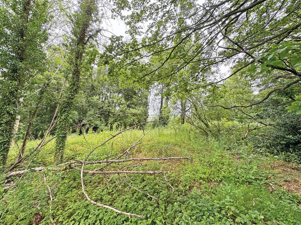 Land to the South of, Clifton Road, ASHBOURNE, Derbyshire, DE6 1DT