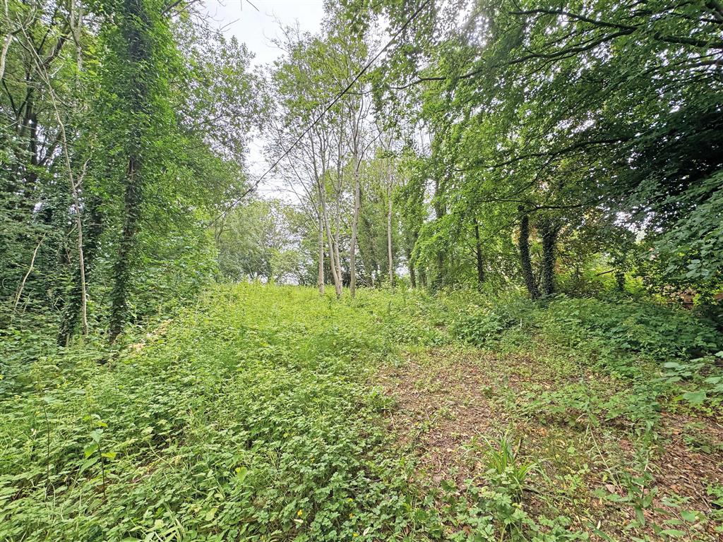 Land to the South of, Clifton Road, ASHBOURNE, Derbyshire, DE6 1DT