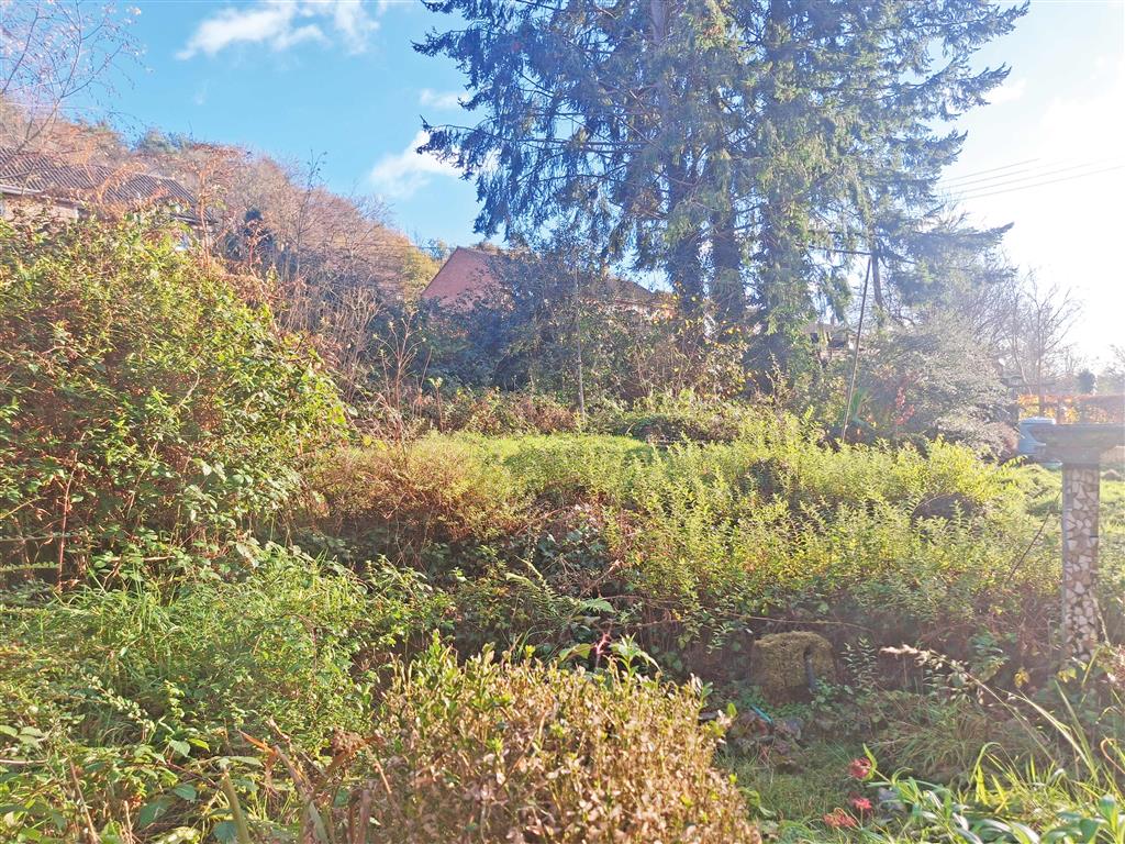 48, Fancy Road, LYDNEY, Gloucestershire, GL15 4JP